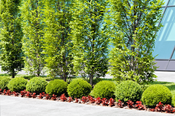 Gardening & Landscaping Services