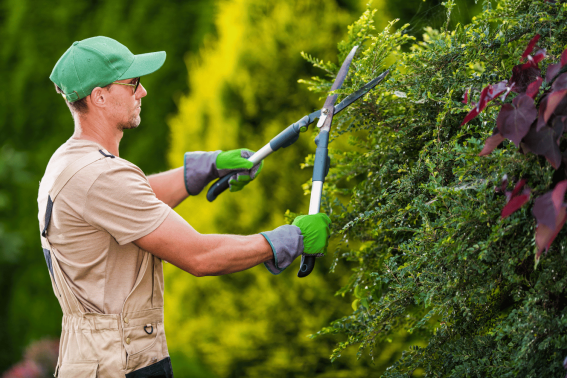 Gardening & Landscaping
