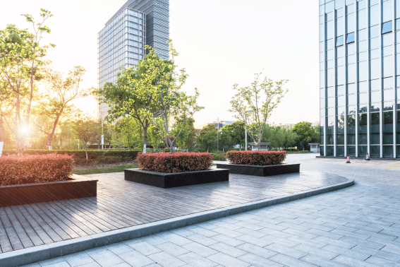 Gardening & Landscaping