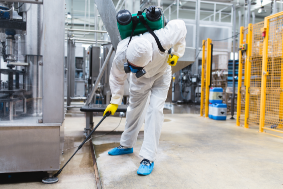 Pest Control Services